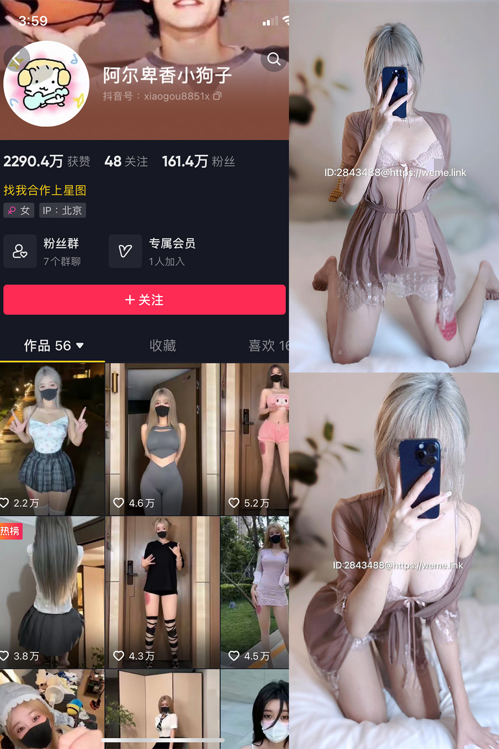 抖音 阿尔卑香小狗子 微密圈  NO.045期 【39P】最新至：2026.6.9-暖色.top