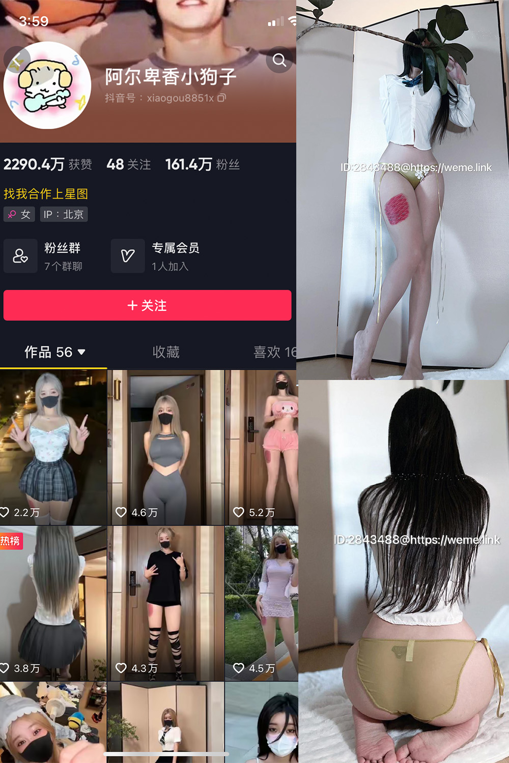 抖音 阿尔卑香小狗子 微密圈  NO.047期 【39P】最新至：2024.6.10-暖色.top