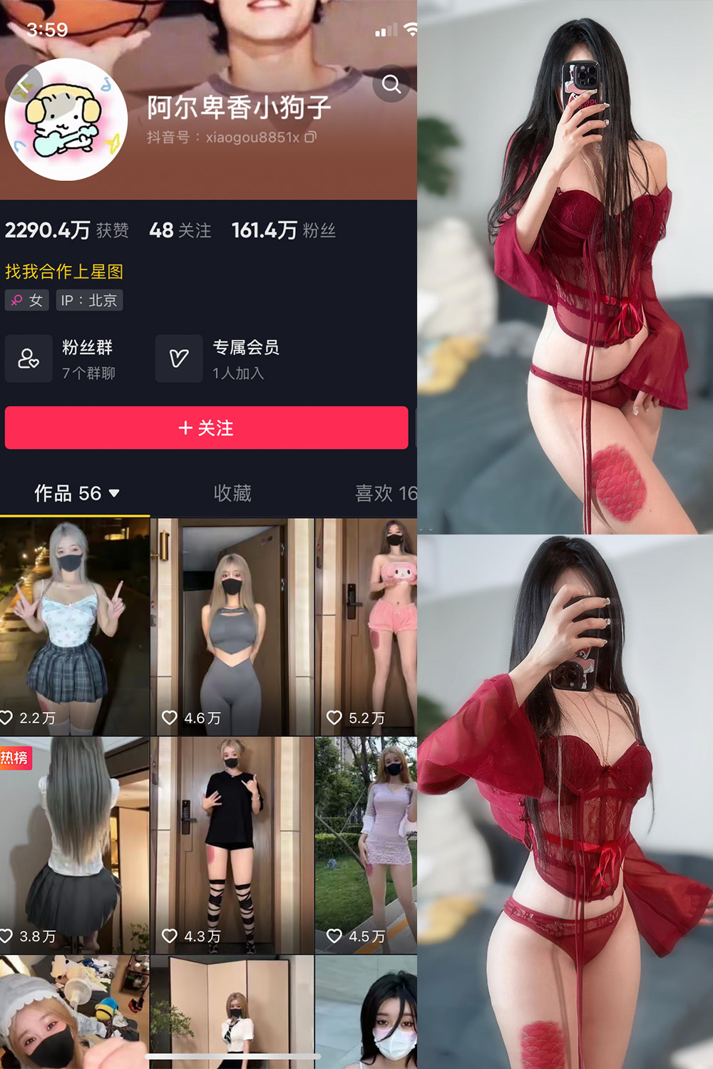 抖音 阿尔卑香小狗子 微密圈  NO.056期 【10P2V】最新至：2024.8.25-暖色.top